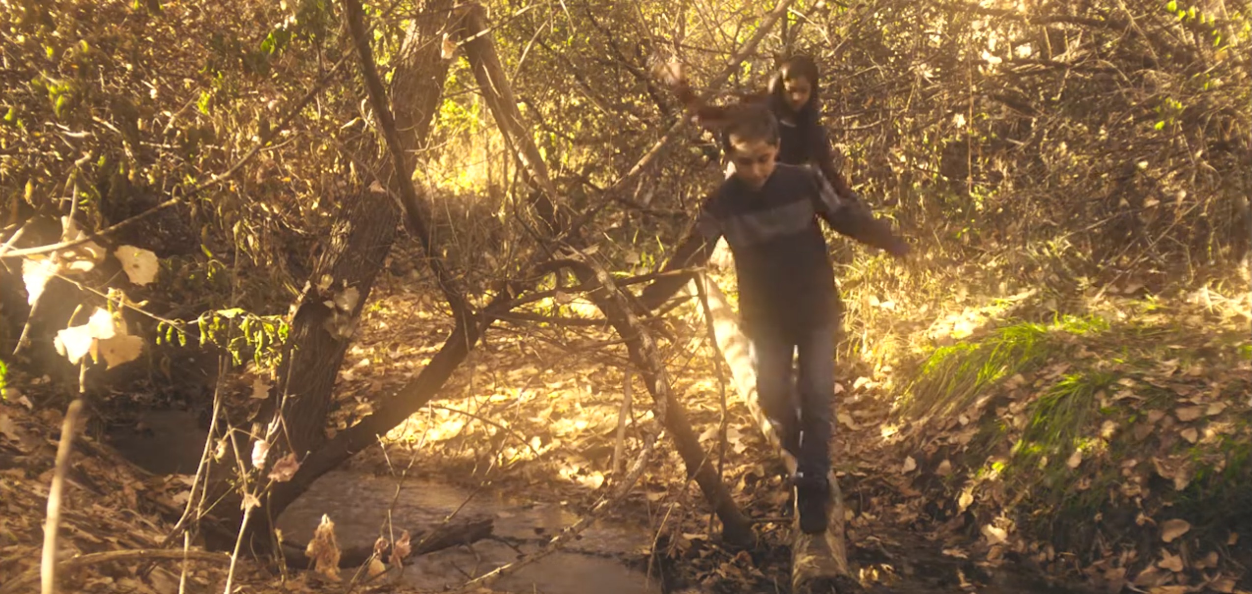Cross The Forest Styx still